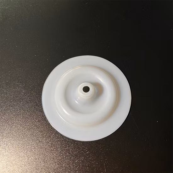 Kit de pièces de réparation de remplacement de pompe Joint PTFE Diaphragme