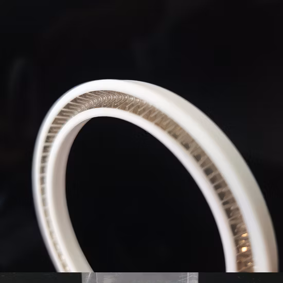 Joints à ressort en PTFE Variseal