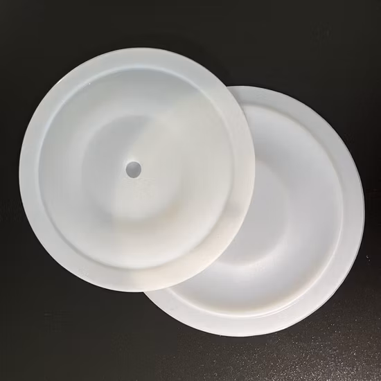 Pièces de pompe Filetage 00-1030-55 Diaphragme PTFE pour pompe à membrane pneumatique