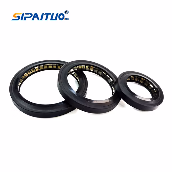 Joint hydraulique de valve de pompe automatique de joints sous tension de ressort de PTFE + de carbone